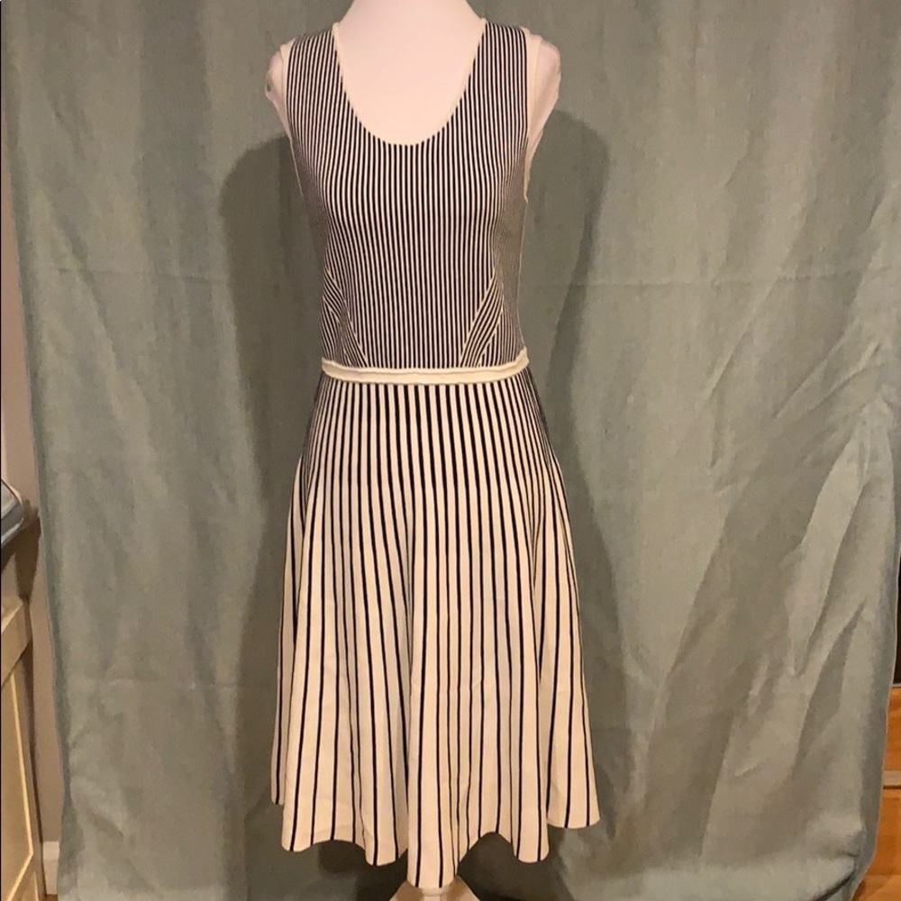 Banana Republic Striped Dress